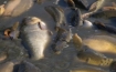 dsc00384