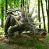 Ankylosaurus