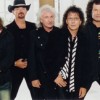 Smokie