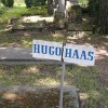 Haas