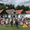 straznice250