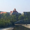 Brněnská přehrada a sinice