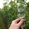 Vinobrani