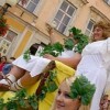Vinobrani-ve-Znojme250