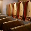 08-vino_sklep250