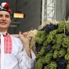 vinobrani01-250