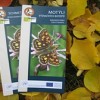 letak-np-podyji-motyliJPG