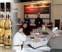 TERRAVINO2011-vino_cech250