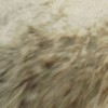 reka2