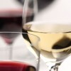 vina-cervene-bile250