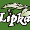 Lipka