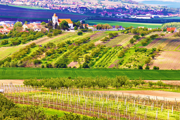 jizni morava venkov panorama