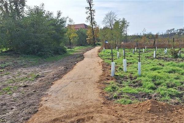 hodonin les rekonstrukce