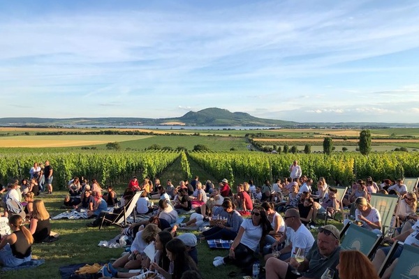 Hudba Na vinicich 600x400
