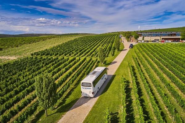 Vinarska turistika 600x400
