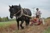 Koňská síla – Role koní ve venkovských pracích
