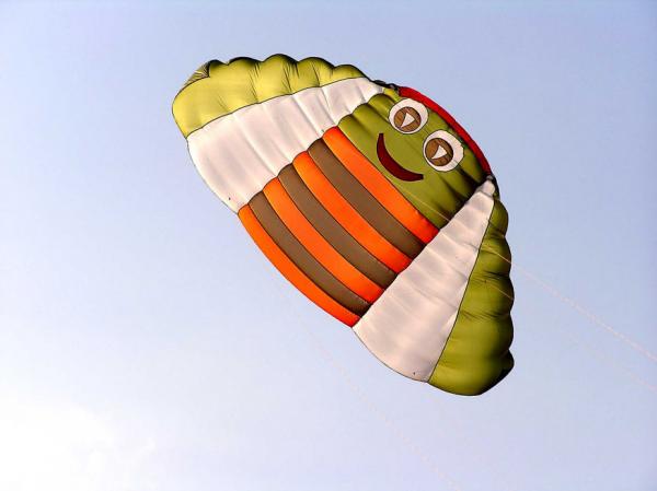 Kliknutím zvětšíte Drakiáda BOŘITOV 2011