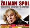 Kliknutím zvětšíte Koncert Žalmana v Bořeticích