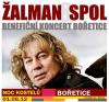 Koncert Žalmana v Bořeticích