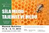 Kliknutím zvětšíte Síla medu - tajemství medu