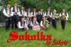 Koncert dechové hudby Sokolka ze Šakvic