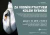 Kliknutím zvětšíte Za vodním ptactvem kolem rybníků