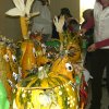 dynobrani-049