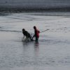 dsc00536