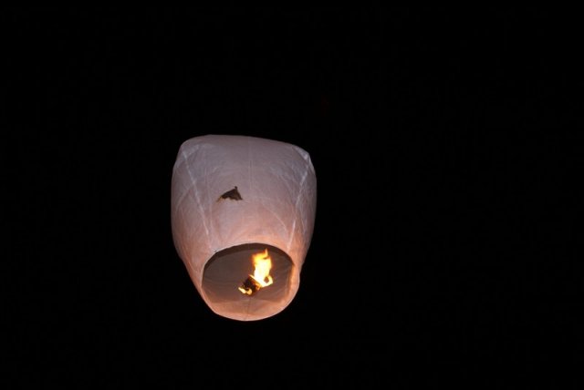 valentin-lampiony-010