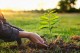 Moutnice bojují proti klimatickým změnám výsadbou biokoridorů a tůněmi