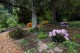 Arboretum Křtiny chystá dny otevřených dveří