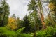 Den otevřených dveří v Arboretu Křtiny nabídne zrenovované sochy, hru pro zvídavé i odpočinek