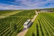Sezona vinobraní vrcholí, jižní Morava láká do sklepů i na prohlídky památek
