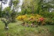 Dny otevřených dveří v Arboretu Křtiny nabídnou rodinný program i kvetoucí dřeviny
