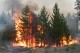 Expert: Česká krajina je k požárům náchylnější, než bývala